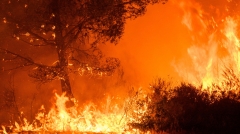 La-protection-contre-les-feux-de-foret.jpg