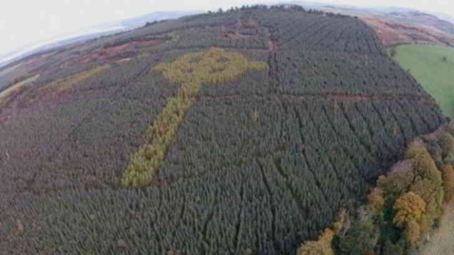 Celtic-Cross-Donegal-forest.jpg