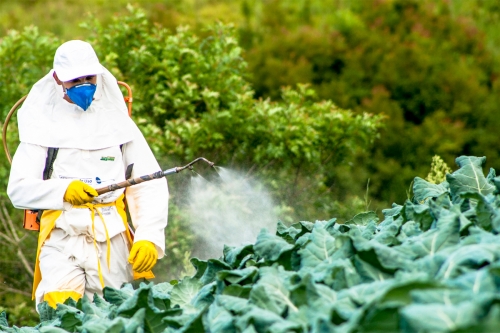 le-senat-approuve-lindemnisation-des-victimes-de-pesticides.jpg