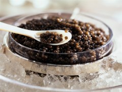 Gauche+caviar.jpg