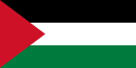 125px-Flag_of_Palestine.svg.png